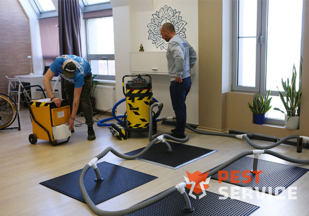 Профессиональная сушка после потопа в Шымкенте от 3000 руб. Быстро устраняем влагу, предотвращаем плесень и повреждения. Современное оборудование и опытные специалисты. Безопасно и эффективно.